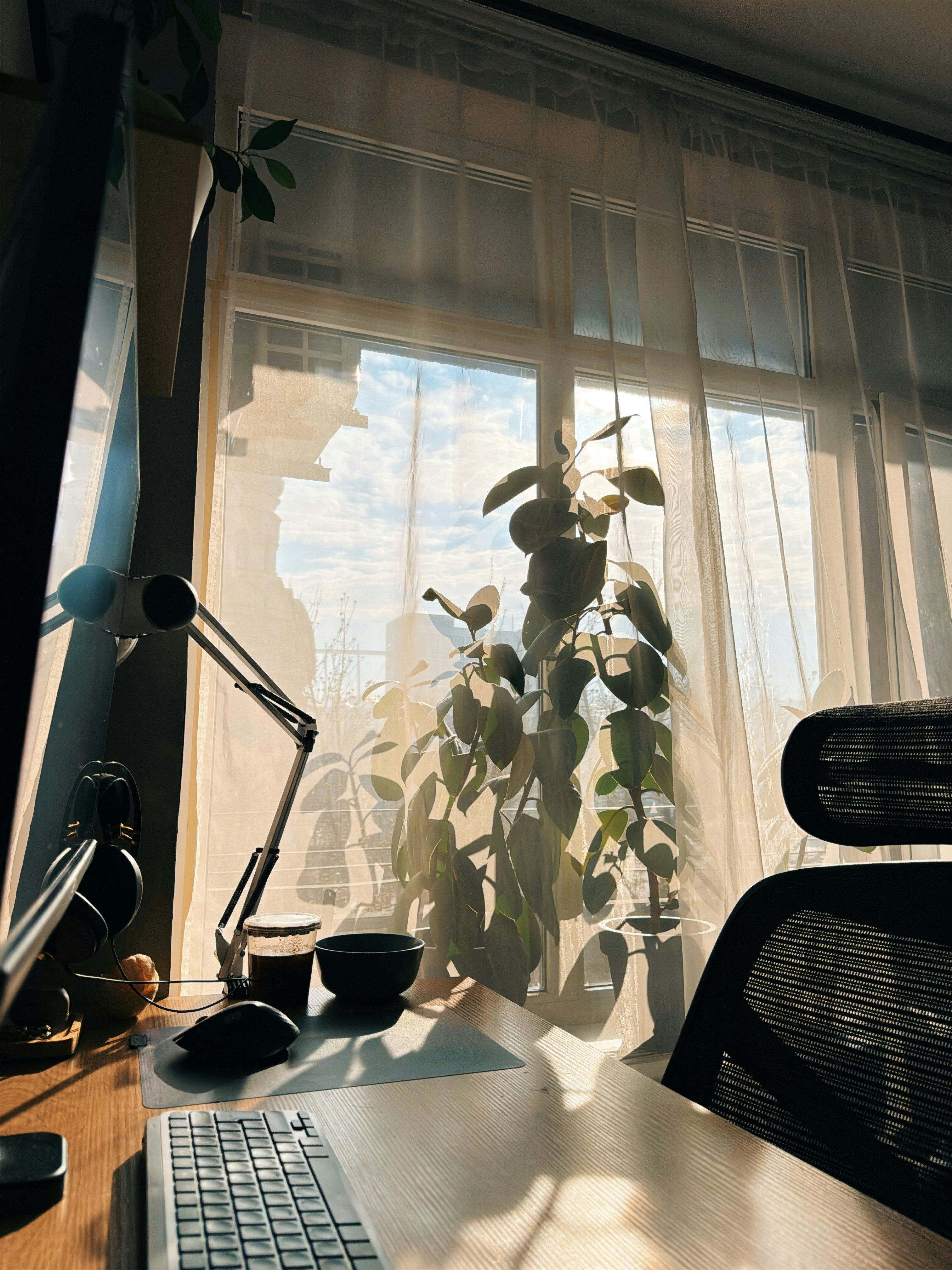 Desk, with plant behind curtain.